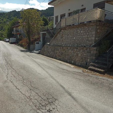 Tzoumerka Panorama プラマンタ エクステリア 写真