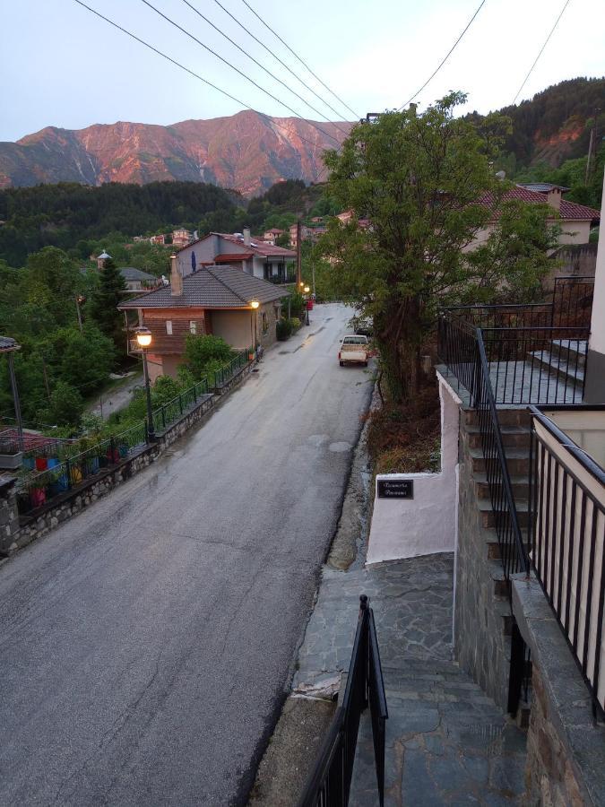 Tzoumerka Panorama プラマンタ エクステリア 写真
