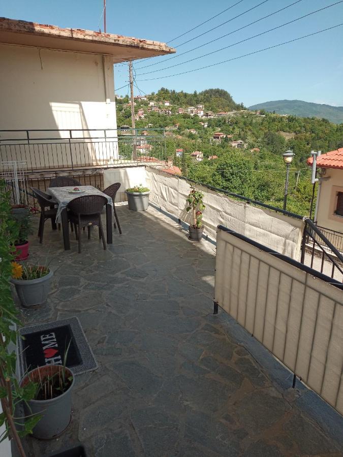 Tzoumerka Panorama プラマンタ エクステリア 写真