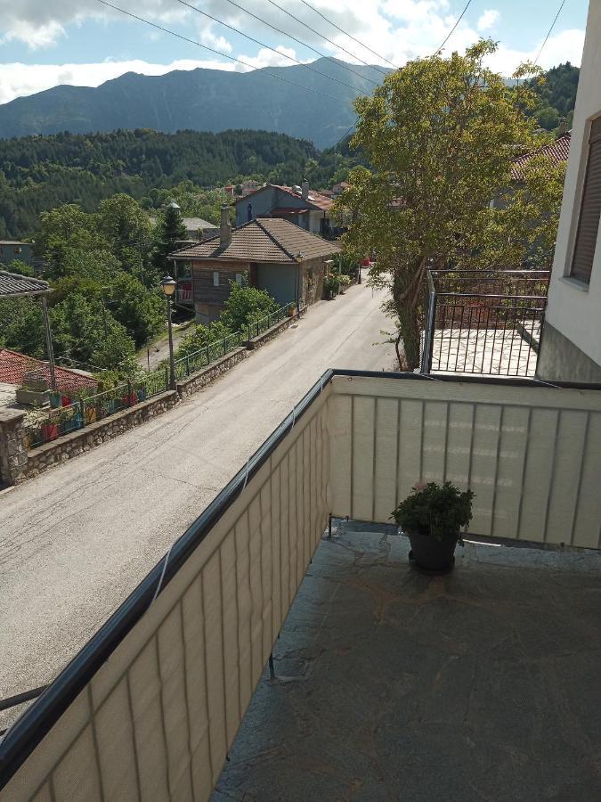 Tzoumerka Panorama プラマンタ エクステリア 写真